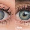 Here, 21 eyelash serums and lash conditioners that will transform your lashes and will make them fuller 21 best eyelash serums for your longest lashes ever. Https Encrypted Tbn0 Gstatic Com Images Q Tbn And9gctyatqzxrupkuhrgyktubx6y56jnaok8ihlu Osui T J5fgxn Usqp Cau