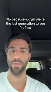 La nostalgia de los luciérnagas en verano