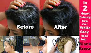 In 2 Hours Turn Grey White Hairs To Black Brown Naturally How To Apply Henna Mehendi On Hair Grey White Hair Grey Hair Treatment Henna Natural Hair