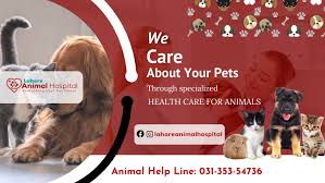 The rascal animal hospital and rascal unit are able to provide low costs due to the high volume of patients we see and careful control of expenses. Lahore Animal Hospital Home Facebook