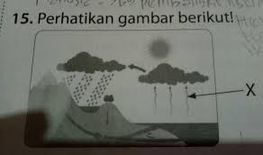 Evaporasi adalah proses pengurangan kadar air pada suatu bahan berupa cairan atau liquid atau kristal dengan metode penguapan. A Apa Nama Tahap X Dalam Siklus Air B Perubahan Wujud Apa Yang Terjadi Pada Tahap Tersebut Mohon Brainly Co Id