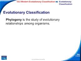 18 2 modern evolutionary classification answer key is universally compatible in the same way as any devices to read. 18 2 Modern Evolutionary Classification Ppt Video Online Download