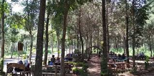 Jangan lupa untuk like dan share ya. 7 Wisata Kediri Yang Keren Dan Instagramable Merdeka Com