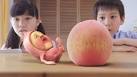 こびとづかん カクレモモジリの秘密の桃園