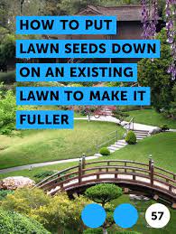 Learn How To Put Lawn Seeds Down On An Existing Lawn To Make It Fuller How To Guides Tips And Tricks Seeding Lawn Grass Seed For Shade Best Grass Seed