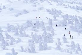 Image result for Hakkoda Walk