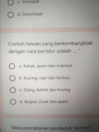 Check spelling or type a new query. Contoh Hewan Yang Berkembang Biak Dengan Cara Bertelur Adalah A Katak Ayam Dan Marmut B Brainly Co Id