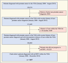 Although it is the most commonly diagnosed cancer in american women, breast cancer can impact people of all genders. Real World Practice Patterns In Veterans With Metastatic Castration Resistant Prostate Cancer Sciencedirect
