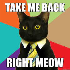 Take Me Back Right Meow Business Cat Quickmeme
