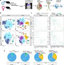 This game name is brain test. Single Cell Rna Sequencing Reveals Functional Heterogeneity Of Glioma Associated Brain Macrophages Nature Communications