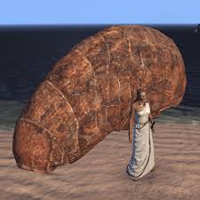 Image result for Silt Strider