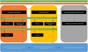 Image result for Atrial Fibrillation Rhythm Control