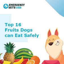 We explain what you need to know about canines and this tropical fruit. Top 16 Fruits Dogs Can Eat Safely Can Your Dog Eat That Fruit