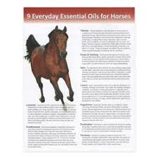 4083 Tear Pad 9 Everyday Essential Oils For Horses 50 Sheets Essential Oils For Migraines Living Essentials Oils Essential Oils