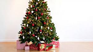 Free delivery and returns on ebay plus items for plus members. Christmas Trees And Flowers Leading The Christmas New Year Sales Charge Rt Business News