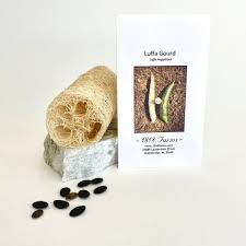 Image result for Luffa