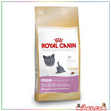Royal Canin Yavru British Shorthair Kedi Mamasi 2 Kg