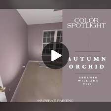 Autumn Orchid
