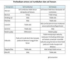 Setelah para ilmuwan yang melakukan penelitian dan pengamatan yang cukup panjang, dapat disimpulkan perbedaan antara sel hewan dan sel tumbuhan dalam bentuk tabel seperti berikut ini Jhtklgodvu3b6m