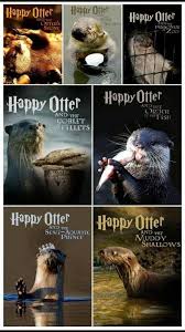 Happy Otter The Series Otters Harry Potter Memes Hilarious Harry Potter Puns Harry Potter Funny
