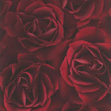 Grab your popcorn!, be ready and lets watch this clip. Red Wallpaper Dark Red Deep Red Plain Patterned Red