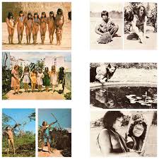 República federativa do brasil federative republic of brazil. Brasil Nativo Brasil Alienigena Native Brazil Alien Brazil Hammer Museum