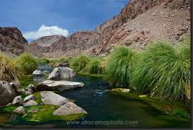 Atacama Desert Coast Mountains Lagoons And Volcanoes Chile Nature Photos Places To Go