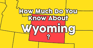 Among these were the spu. How Much Do You Know About The Year 1954 Quizpug