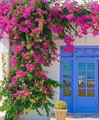 Pin On Places To Visit In The World