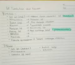 Check spelling or type a new query. Jelaskan Perbedaan Antara Sel Hewan Dan Sel Tumbuhan Buatlah Dalam Bentuk Tabel Brainly Co Id