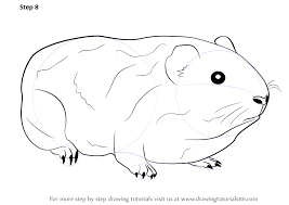 Draw the guinea pig's eye inside the head on the top left side. Learn How To Draw A Guinea Pig Farm Animals Step By Step Drawing Tutorials