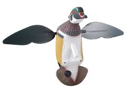 Mojo Screamin Woody Motion Wood Duck Decoy Polymer Duck Decoys Wood Ducks Decoy