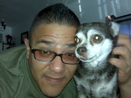 She's been found 💙💙 Missing female , name is Lou Lou she is my grandmas  companion dog we have to find her ,she is a chow/Aussie mix brown tan and  white coloring