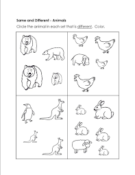 Same Or Different Worksheets Activity In 2020 Worksheets For Kids Kindergarten Worksheets Printable Kindergarten Worksheets