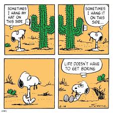 Snoopy is an anthropomorphic beagle5 in the comic strip. Snoopy S Brother Spike Heapers Hangout