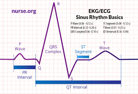 How To Read An Electrocardiogram Ekg Ecg Nurse Org