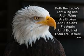 Cannot Fly Birds That Don T Fly Both The Eagle S Left Wing And Right Wing Are Broken And He Can T Fly Again Until Both Of Them Are Healed Eagle Images Bald Eagle Types Of Eagles