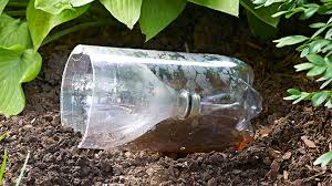 How to build your indoor garden diy project with using plastic bottles. 7 Ways To Upcycle Plastic Bottles In The Garden Garden Gate