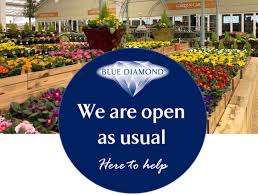 A very nice garden centre plenty of plants and good quality. Blue Diamond Garden Centres Home Facebook