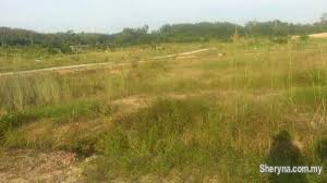 We did not find results for: Land For Sale Tanah Untuk Dijual Jalan Kebun Shah Alam Selangor Land For Sale In Shah Alam Selangor Sheryna Com My Mobile 542852