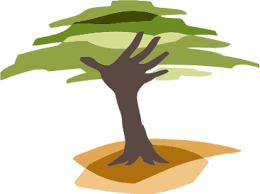 163,576 likes · 1,038 talking about this · 465,640 were here. Eden Reforestation Projects Wikipedia