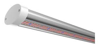 If a plant is exposed to the only 660nm of deep red light, it will feel as if it is under direct sunlight and will grow normally. Led Grow Light Osram Led R B Far Red Red Spectrum Uv Spectrum Customized Spectrum Power 50w 85w 130w Length 60cm 100cm 120 Led Grow Lights Led Grow Grow Lights