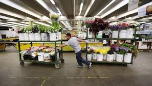 We did not find results for: Americans Are Spending More On Mother S Day Than Ever Before Los Angeles Times