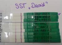 Etwas schwer zu erkennen und auf video sieht es nochmal zarter aus, aber er ist positiv! Ab Wann David Ss Test Positiv Forum Kinderwunsch Urbia De