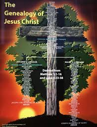 Genealogy Of Jesus Christ Genealogy Of Jesus Bible