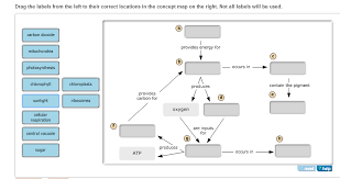 Definition and a list of examples of meiosis. Meiosis Terminology Concept Map Masteringbiology Maps Location Catalog Online
