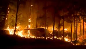 The caldor fire is rapidly expanding through northern california, prompting mandatory evacuations for residents in el dorado county, which home to over 190,000 residents. El3q8ptadvcrym