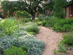 The photo below shows many city blocks where only one or a few houses are still standing; Maintenance Prairieform Prairie Garden Native Landscaping Front Yard Xeriscape Ideas