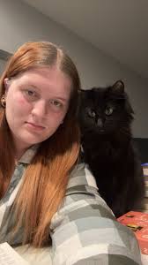 Lost Cat Vinny in Council Bluffs, IA