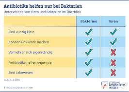 Viren Oder Bakterien Wo Ist Der Unterschied Stiftung Gesundheitswissen